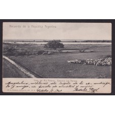 ESTANCIA LAS PALMAS Y RIO PARANA 1903 RARA TARJETA POSTAL